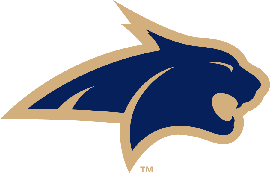 Montana State Bobcats 2006-2013 Alternate Logo v3 diy iron on heat transfer